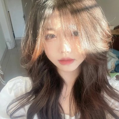 宫部美幸4周连续SP 第二夜 猎捕史奈克